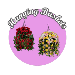 Hanging Baskets