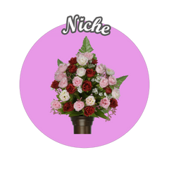 Niche Arrangement